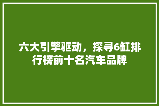 六大引擎驱动，探寻6缸排行榜前十名汽车品牌