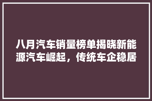 八月汽车销量榜单揭晓新能源汽车崛起，传统车企稳居前列