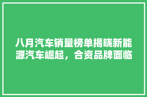 八月汽车销量榜单揭晓新能源汽车崛起，合资品牌面临挑战