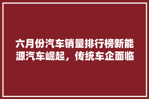 六月份汽车销量排行榜新能源汽车崛起，传统车企面临挑战