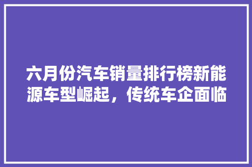 六月份汽车销量排行榜新能源车型崛起，传统车企面临挑战