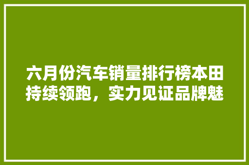 六月份汽车销量排行榜本田持续领跑，实力见证品牌魅力