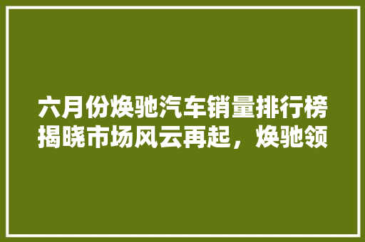 六月份焕驰汽车销量排行榜揭晓市场风云再起，焕驰领跑新赛道
