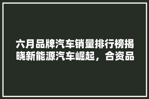 六月品牌汽车销量排行榜揭晓新能源汽车崛起，合资品牌竞争激烈