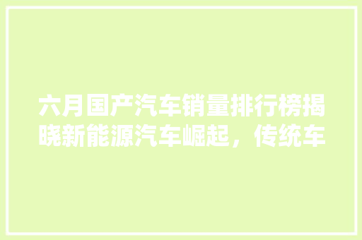 六月国产汽车销量排行榜揭晓新能源汽车崛起，传统车型稳中求进