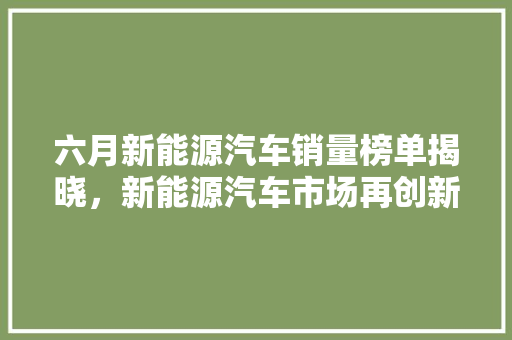 六月新能源汽车销量榜单揭晓，新能源汽车市场再创新高