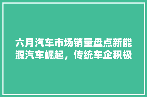 六月汽车市场销量盘点新能源汽车崛起，传统车企积极转型