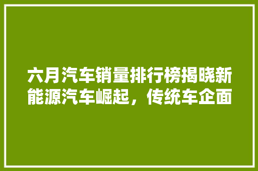 六月汽车销量排行榜揭晓新能源汽车崛起，传统车企面临挑战