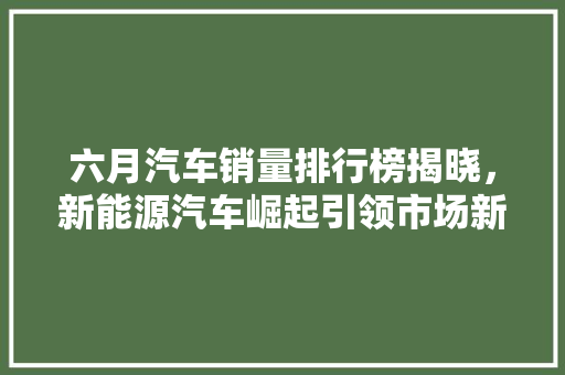 六月汽车销量排行榜揭晓，新能源汽车崛起引领市场新潮流
