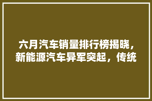 六月汽车销量排行榜揭晓，新能源汽车异军突起，传统车型稳扎稳打