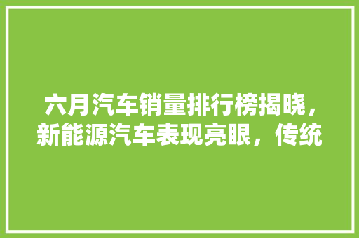 六月汽车销量排行榜揭晓，新能源汽车表现亮眼，传统车企稳居前列