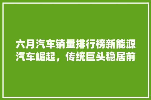 六月汽车销量排行榜新能源汽车崛起，传统巨头稳居前列