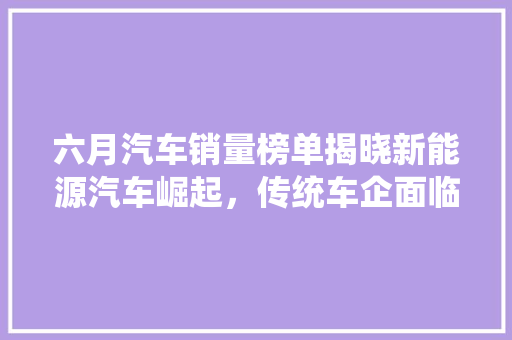 六月汽车销量榜单揭晓新能源汽车崛起，传统车企面临挑战