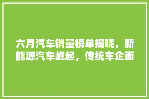 六月汽车销量榜单揭晓，新能源汽车崛起，传统车企面临挑战