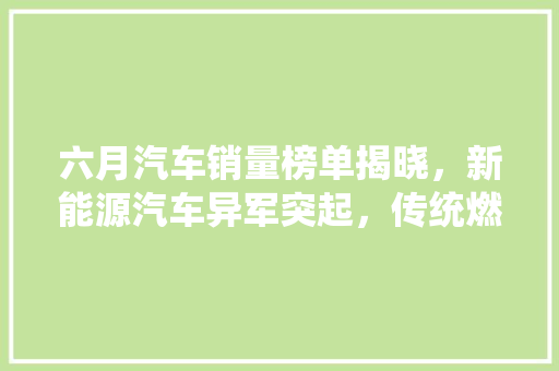六月汽车销量榜单揭晓，新能源汽车异军突起，传统燃油车面临挑战