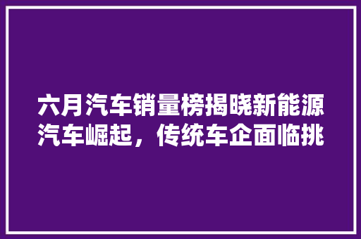 六月汽车销量榜揭晓新能源汽车崛起，传统车企面临挑战