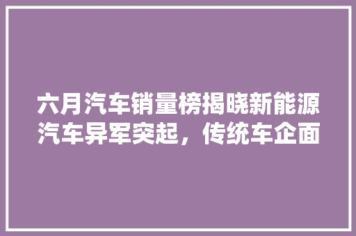 六月汽车销量榜揭晓新能源汽车异军突起，传统车企面临挑战