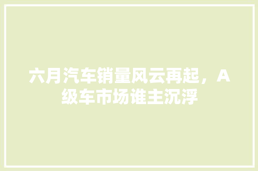 六月汽车销量风云再起，A级车市场谁主沉浮