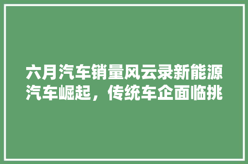 六月汽车销量风云录新能源汽车崛起，传统车企面临挑战