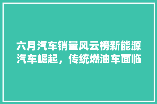 六月汽车销量风云榜新能源汽车崛起，传统燃油车面临挑战