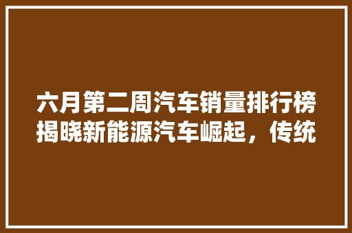 六月第二周汽车销量排行榜揭晓新能源汽车崛起，传统车型面临挑战