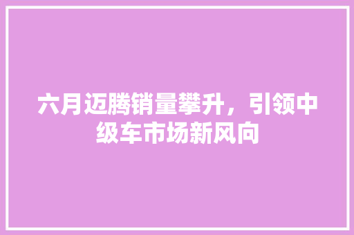 六月迈腾销量攀升，引领中级车市场新风向
