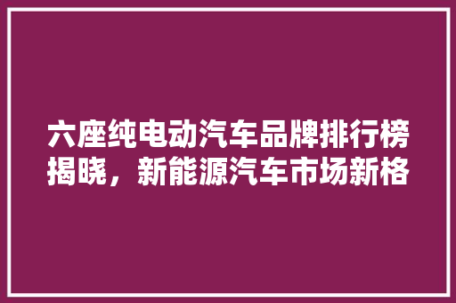 六座纯电动汽车品牌排行榜揭晓，新能源汽车市场新格局逐渐形成