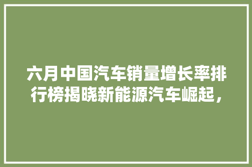 六月中国汽车销量增长率排行榜揭晓新能源汽车崛起，传统车企寻求转型