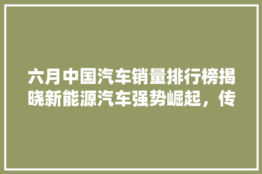 六月中国汽车销量排行榜揭晓新能源汽车强势崛起，传统车企面临挑战
