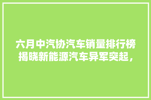 六月中汽协汽车销量排行榜揭晓新能源汽车异军突起，传统车企加速转型