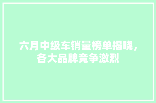 六月中级车销量榜单揭晓，各大品牌竞争激烈