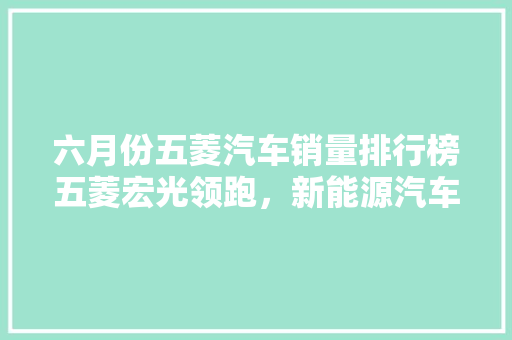 六月份五菱汽车销量排行榜五菱宏光领跑，新能源汽车异军突起