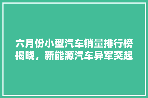 六月份小型汽车销量排行榜揭晓，新能源汽车异军突起