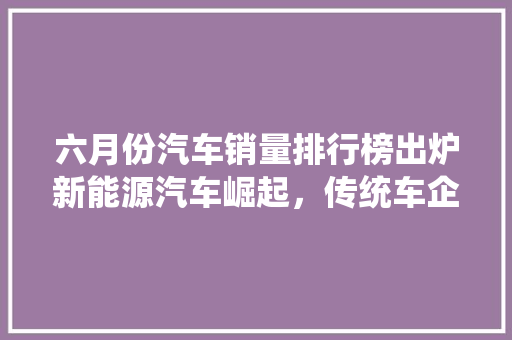 六月份汽车销量排行榜出炉新能源汽车崛起，传统车企面临挑战