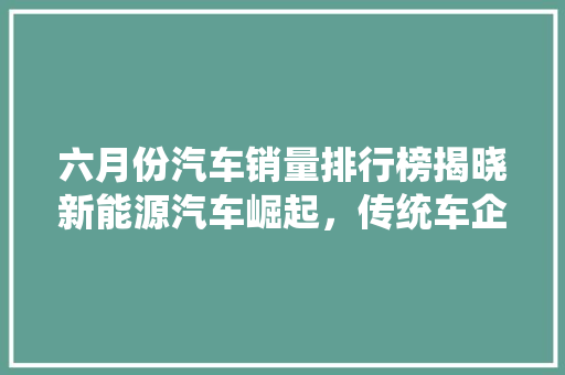 六月份汽车销量排行榜揭晓新能源汽车崛起，传统车企面临挑战