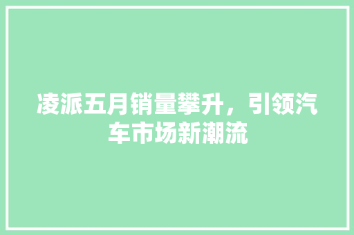 凌派五月销量攀升，引领汽车市场新潮流