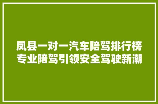 凤县一对一汽车陪驾排行榜专业陪驾引领安全驾驶新潮流