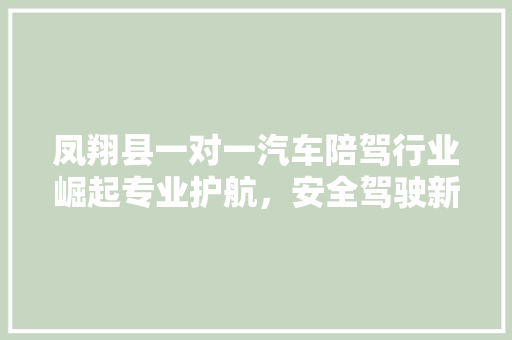 凤翔县一对一汽车陪驾行业崛起专业护航，安全驾驶新时代