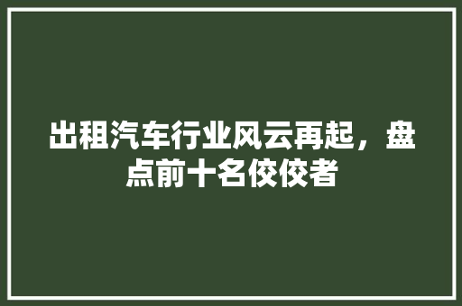出租汽车行业风云再起，盘点前十名佼佼者