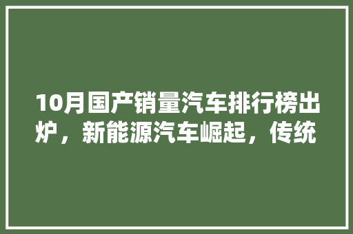 10月国产销量汽车排行榜出炉，新能源汽车崛起，传统燃油车面临挑战