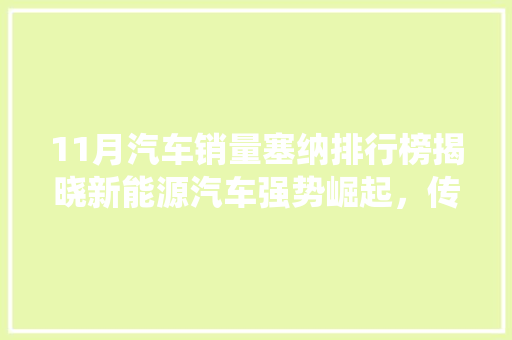 11月汽车销量塞纳排行榜揭晓新能源汽车强势崛起，传统燃油车面临挑战