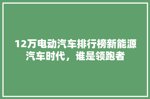 12万电动汽车排行榜新能源汽车时代，谁是领跑者