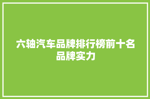 六轴汽车品牌排行榜前十名品牌实力