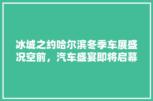 冰城之约哈尔滨冬季车展盛况空前，汽车盛宴即将启幕