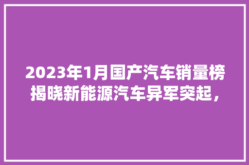 2023年1月国产汽车销量榜揭晓新能源汽车异军突起，传统车企稳扎稳打