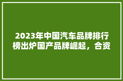 2023年中国汽车品牌排行榜出炉国产品牌崛起，合资品牌稳中求进
