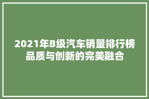 2021年B级汽车销量排行榜品质与创新的完美融合