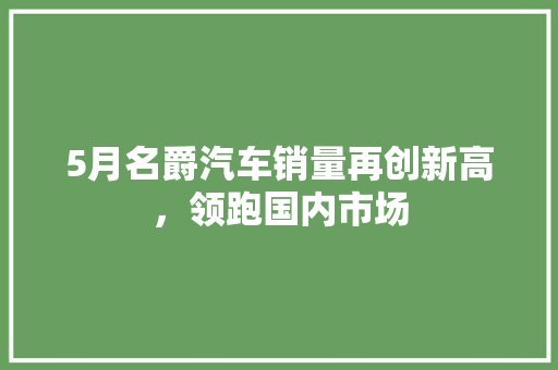 5月名爵汽车销量再创新高，领跑国内市场