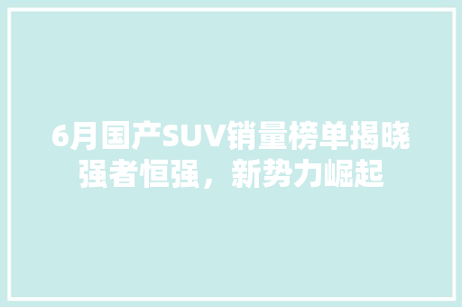 6月国产SUV销量榜单揭晓强者恒强，新势力崛起