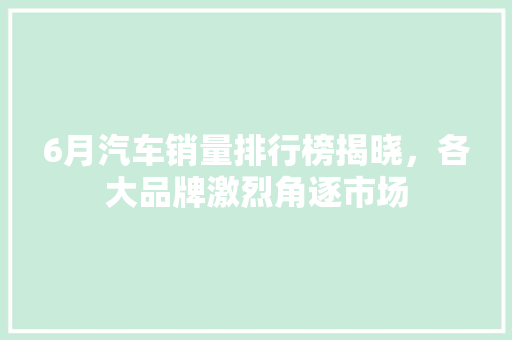 6月汽车销量排行榜揭晓，各大品牌激烈角逐市场